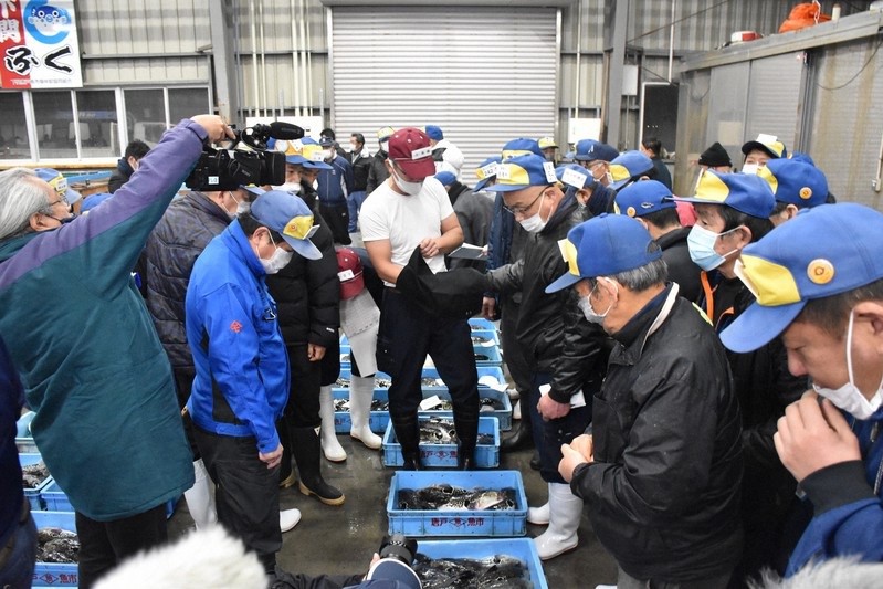 快新聞／祈求好運一整年！東京豊洲市場新年「初競」活動　鮪魚拍出2億天價