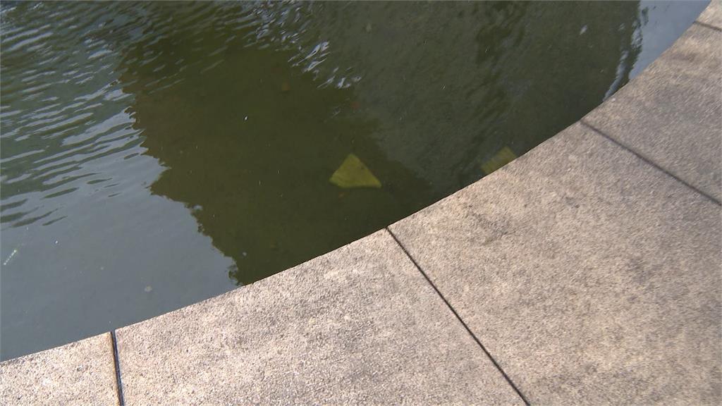 水池被當「廢電池」？　板橋車站水池內驚見數十顆廢電池