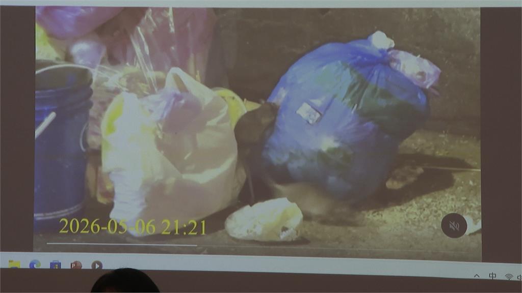 守公衛防線！北市見鼠率未降　台灣北社：垃圾沒清、本末倒置