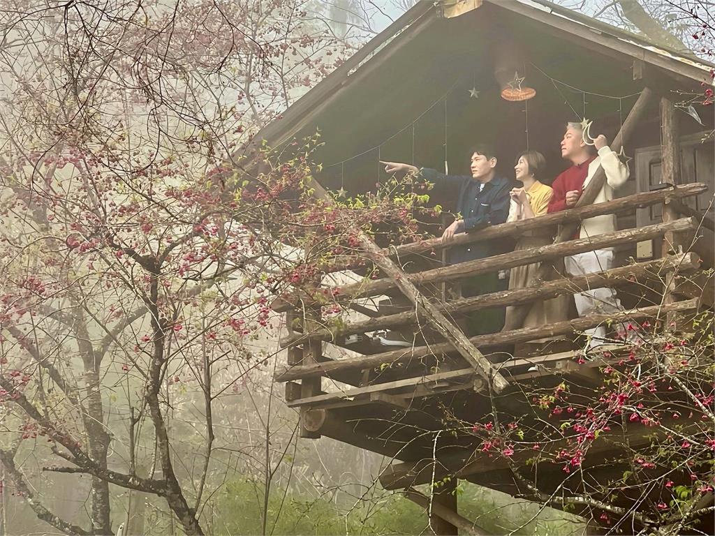 瑞里紫藤花浪漫綻放　嘉義山城化身紫色花廊邀旅人春遊賞花