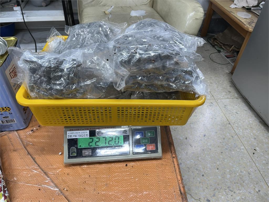泰國空運餅乾盒藏價值百萬大麻花 2收貨越南移工落網