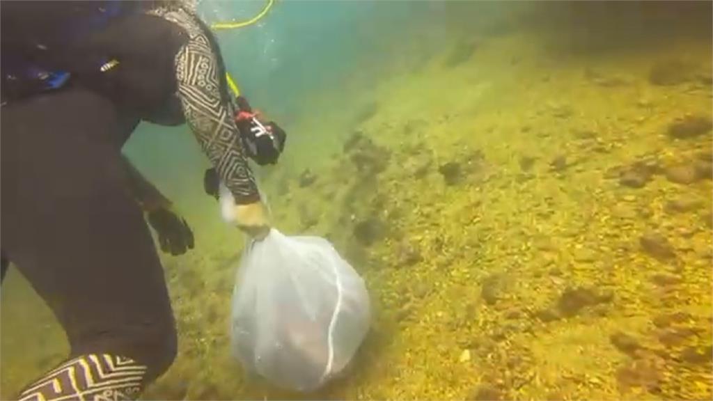 潛客見小丑魚產卵好興奮　一旁滿是海洋垃圾