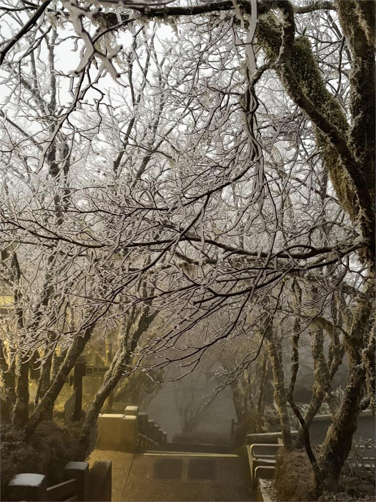 快新聞／有夠冷！宜蘭太平山「跌破零度」下雪　美景曝光了