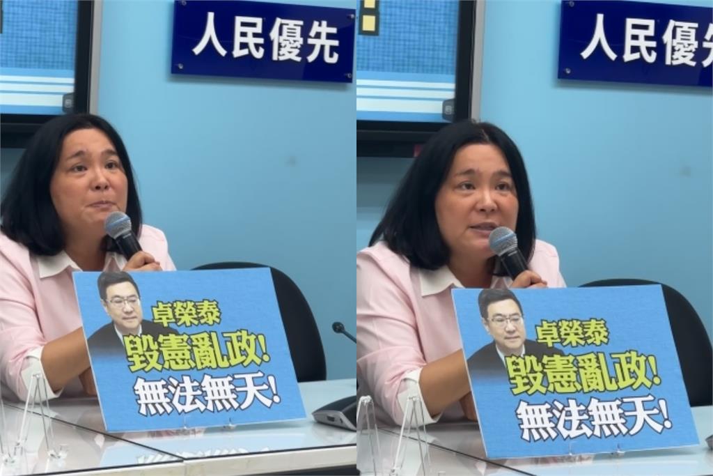 陳玉珍解釋「統戰」正確涵義!高喊「台灣人不要恐懼」…全網看傻:聽妳唬爛