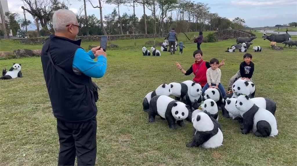 宜蘭三星安農溪落羽松秘境 濃濃冬意景緻夢幻