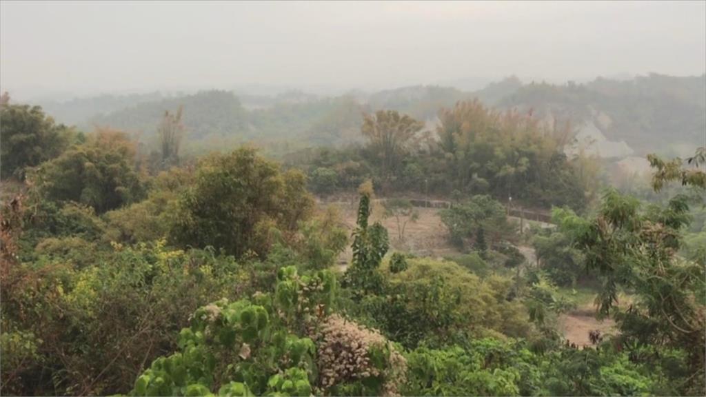 霧茫茫! 台南二寮看嘸日出 梅嶺梅花部分綻放