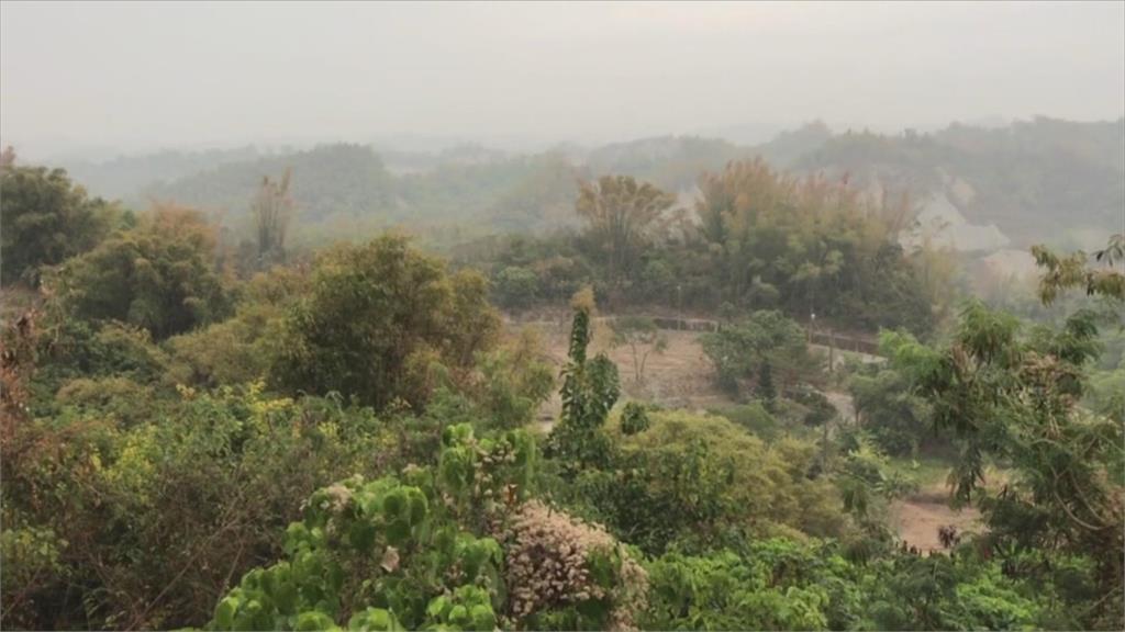 霧茫茫！　台南二寮看嘸日出　梅嶺梅花部分綻放