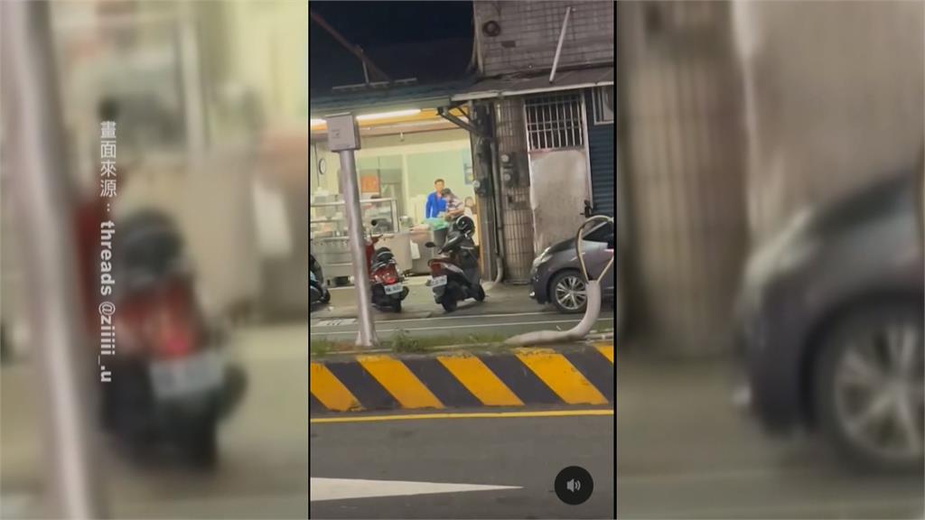 屏東2男店外超火爆打到地上！　顧客「超淡定用餐」奇特反差