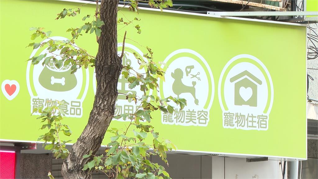 寵物店老鼠藥「寄宿犬隻疑誤食亡」 飼主淚訴:只拿到1萬4賠償