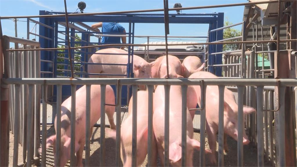 台灣重返非疫區 未來百日關鍵期