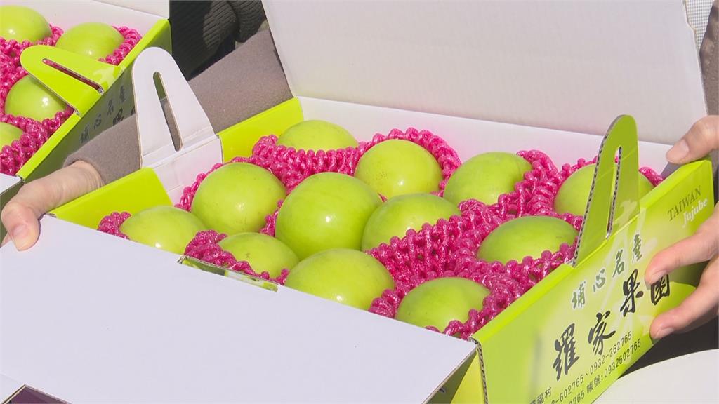 快跟青蘋果一樣大顆！雪蜜棗提前採收　產量少四分之一「價格凍漲」
