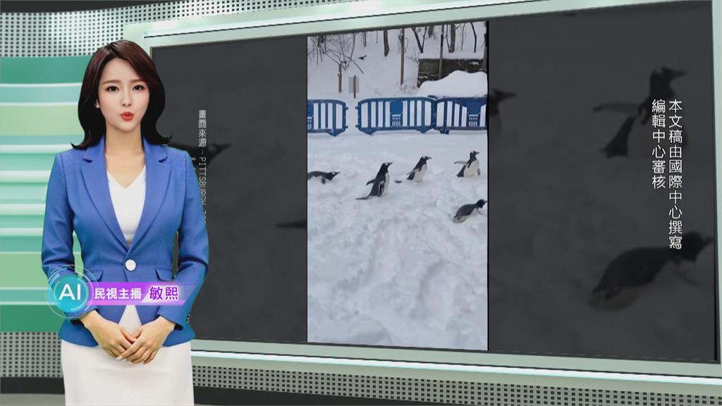 敏熙報氣象／美國賓州匹茲堡大雪! 動物園企鵝超萌嬉鬧打滾