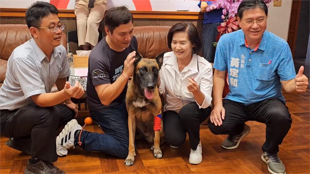 比利時牧羊犬Eli超聽話！　宜蘭訓犬師將帶愛犬挺進世界盃