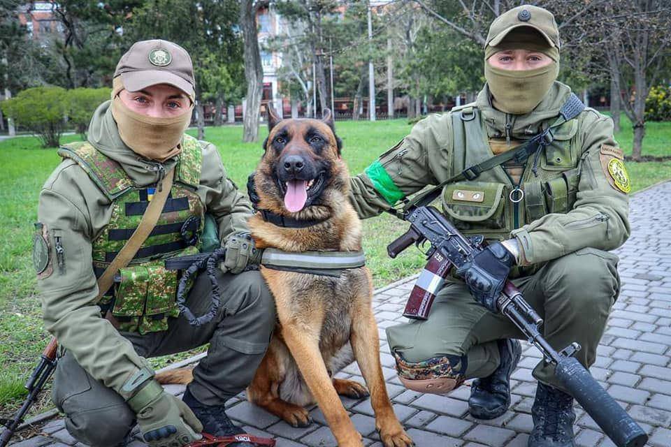 戰犬遭俄軍遺棄！烏克蘭暖心收留「惡補烏語」　不怕生還向士兵撒嬌