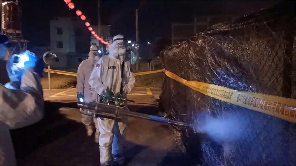 異言堂/西班牙也爆非洲豬瘟!台灣成功守下疫情 專家:全球唯一