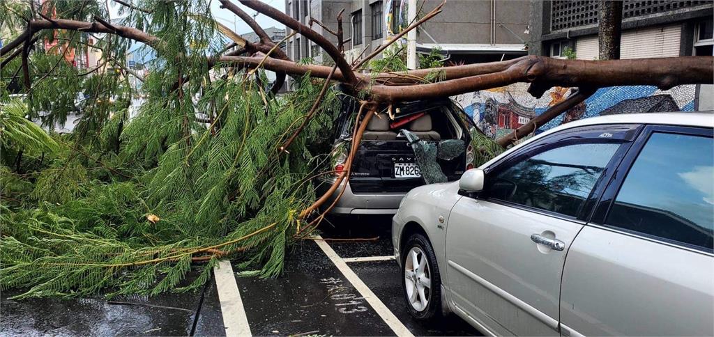 快新聞／屏東狂風暴雨「彷彿颱風」！ 路樹倒塌壓壞轎車驚險畫面曝