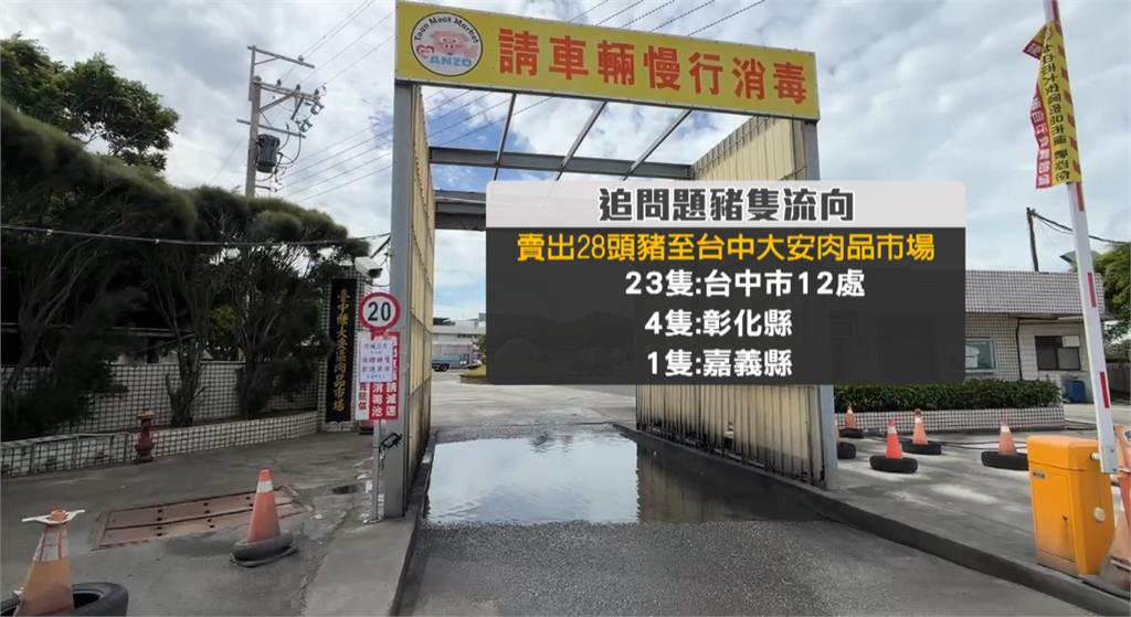 豬場爆疫情! 28頭豬隻流入3縣市 嘉縣:當天就賣光