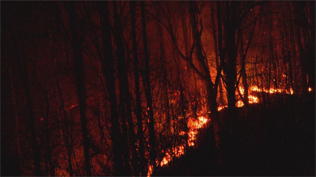 樹倒電線杆釀災! 美國北卡州爆野火 民眾撤離