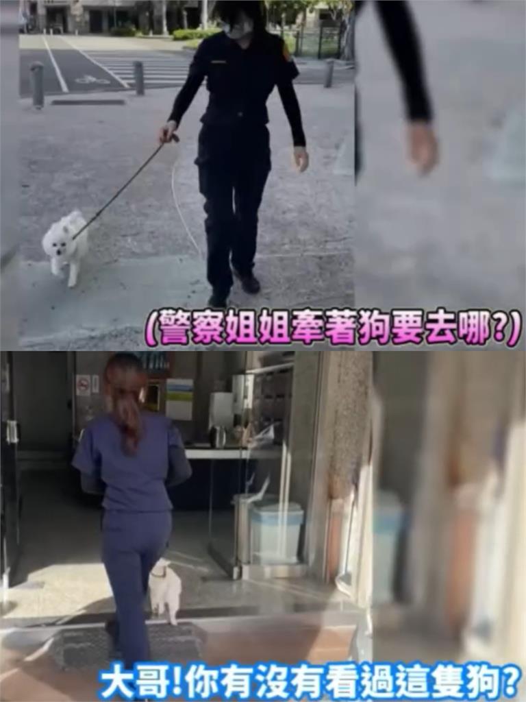 女警暖幫小白狗回家!感動重逢「飛撲主人」畫面曝…39萬人哭了