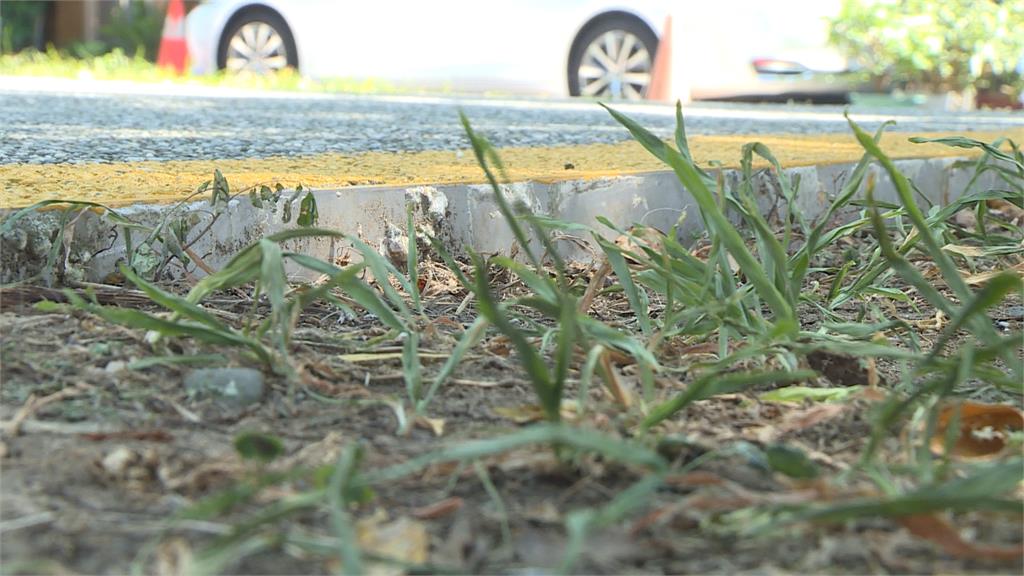 女童公園摔傷深可見骨　議員質疑路面設計不良