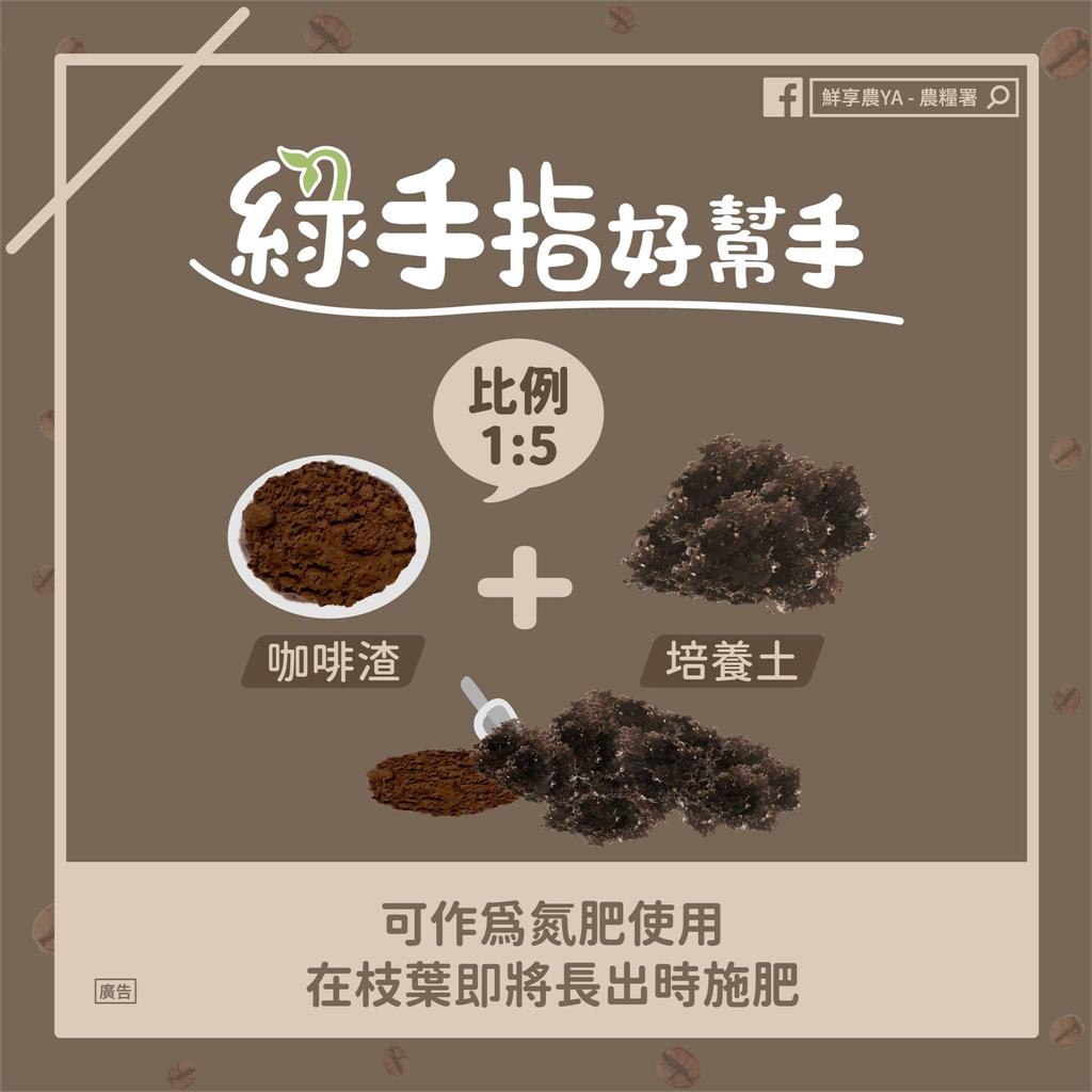 咖啡渣丟掉超可惜！變身7種生活小幫手　防鏽、防蟲還能醃肉