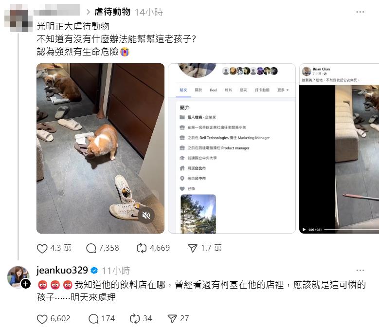 快新聞／手搖飲老闆涉虐狗！年邁柯基遭痛打縮角落　女立委出手了