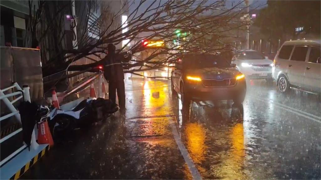 台中雷雨釀災！　多處淹水　路樹倒塌1人傷