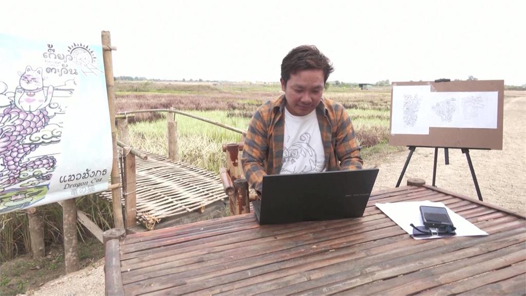 吸睛!泰國農民用稻作作畫 兩公頃農田變身巨大畫布
