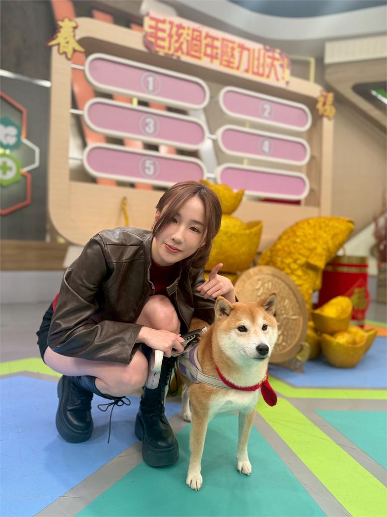 陳志強愛犬一到過年放煙火！嚇到失控「挫屎」