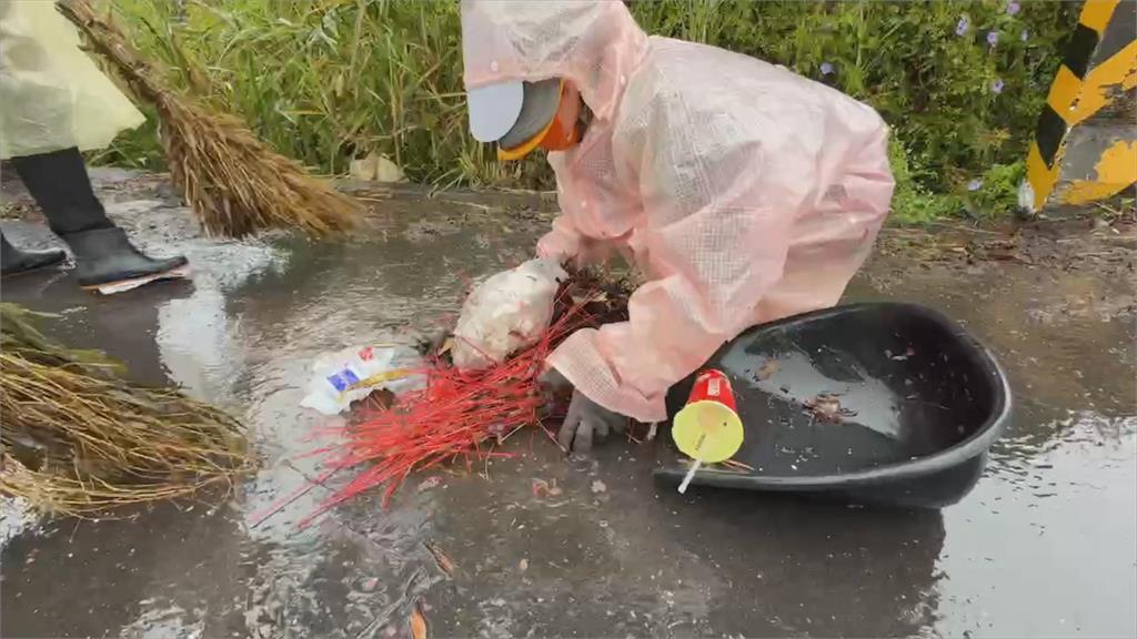 鹽水蜂炮罕遇「雨天」 大量炮灰紙屑遇水凝結黏著路面