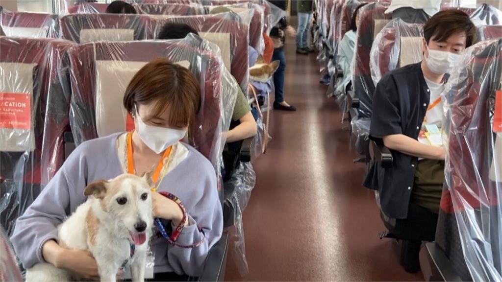Jr東新幹線寵物專車上路狗狗爽躺座位上 民視新聞網