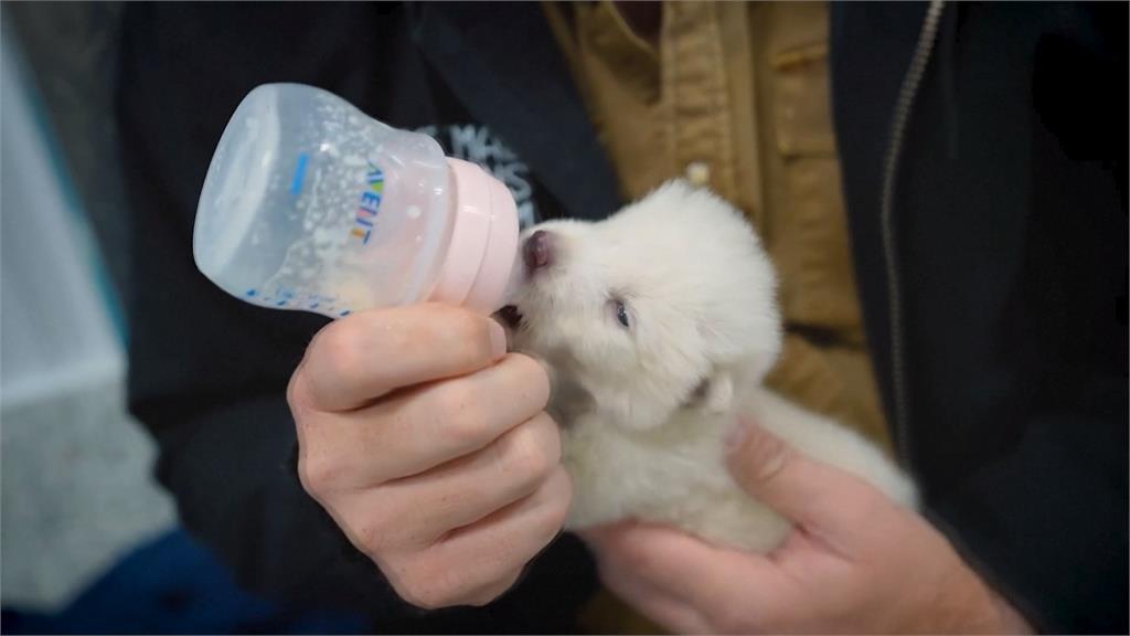 美生技公司號稱「復活史前動物」 未提供證據引學界質疑