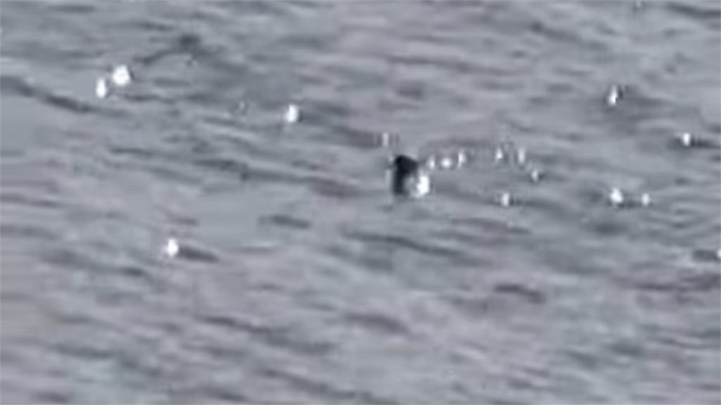 百年傳說神秘生物疑現身尼斯湖　遊客驚見「逆流探頭」前進畫面曝光