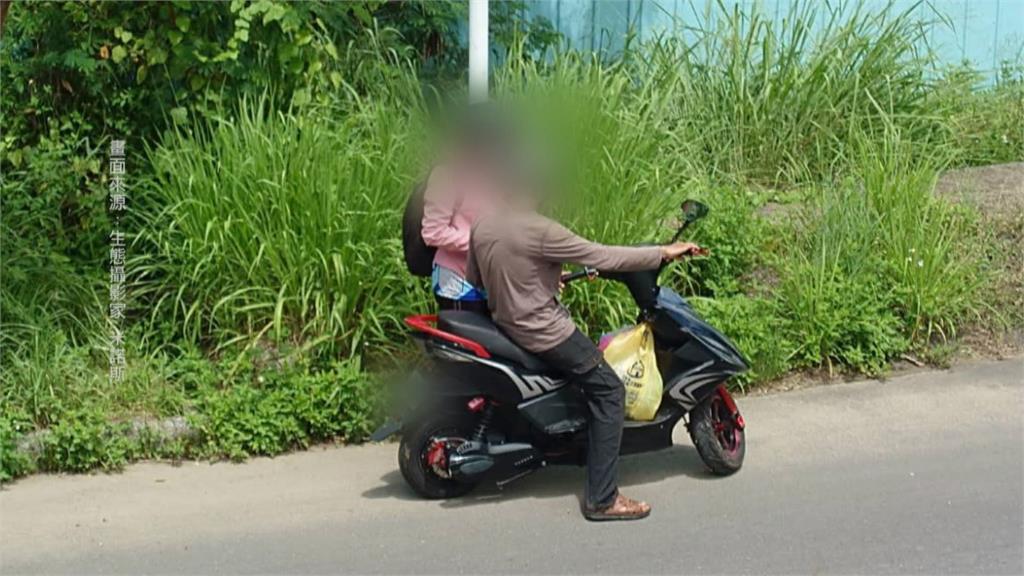 彰化芬園移工捕捉獨角仙　稱「酥炸」來吃配啤酒