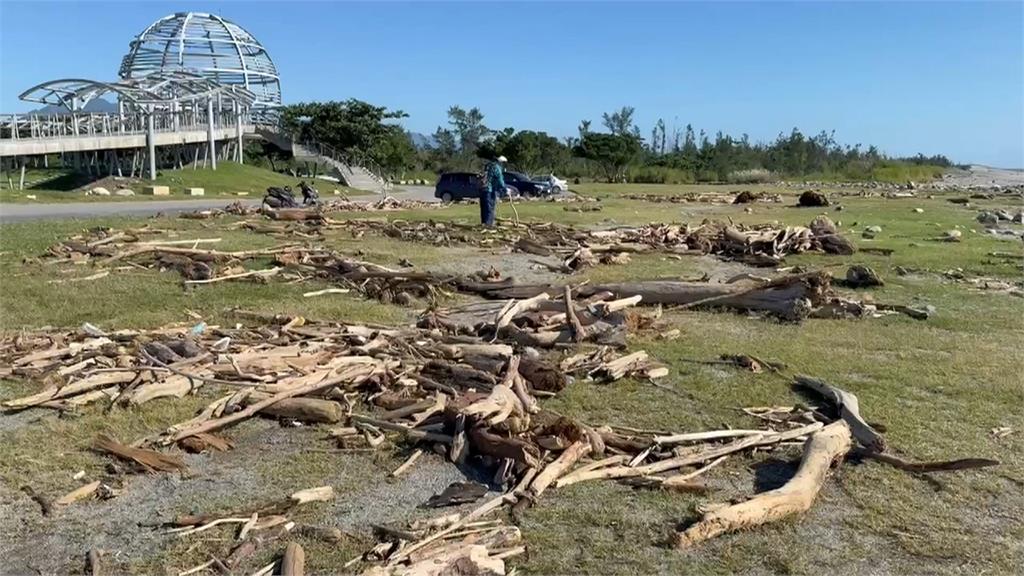 台東新打卡點！　「漂流木堆成藝術品」縣府將清除遊客不捨