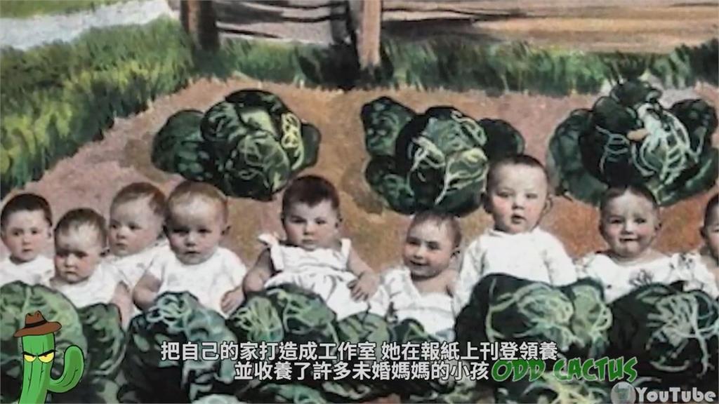進得去出不來!狠女搞「嬰兒農場」狂撈金 400童沉河底惡行全被揭
