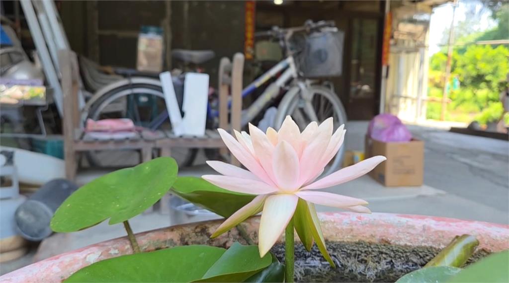 護理師才剛下班遇死劫　阿公轟：沒死給她撞到死