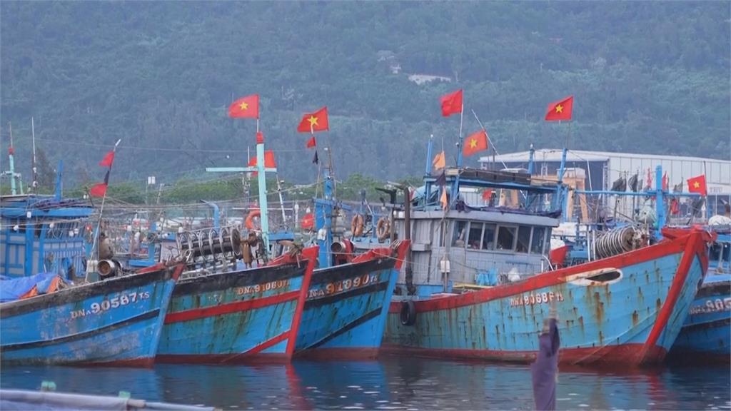 暖化、過度捕撈影響醍魚生長 越南魚露製造商憂心忡忡