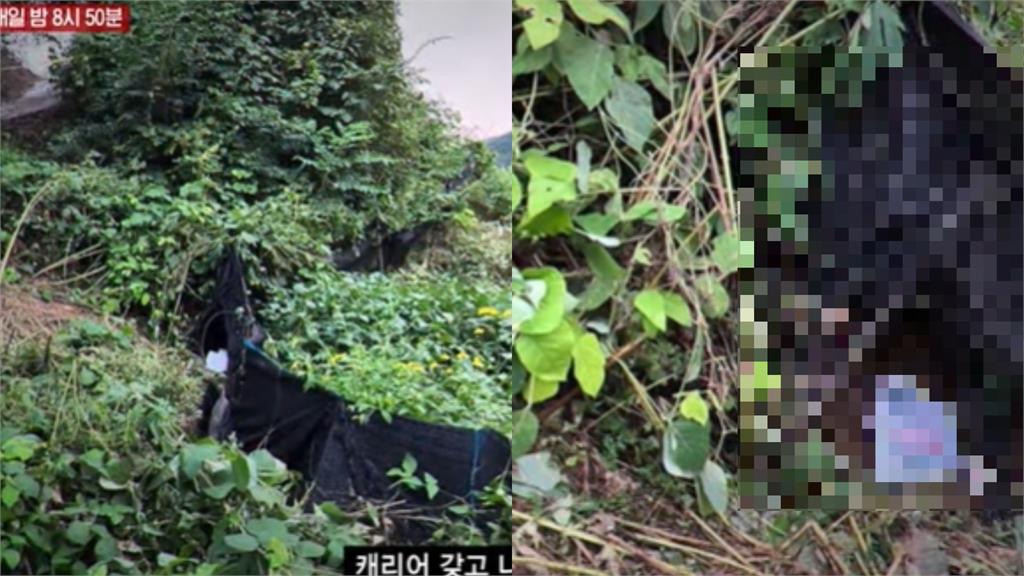 20代34萬女網紅「滿身傷痕」遭棄屍深山！兇手竟是「破億抖內VIP」…細節曝光了
