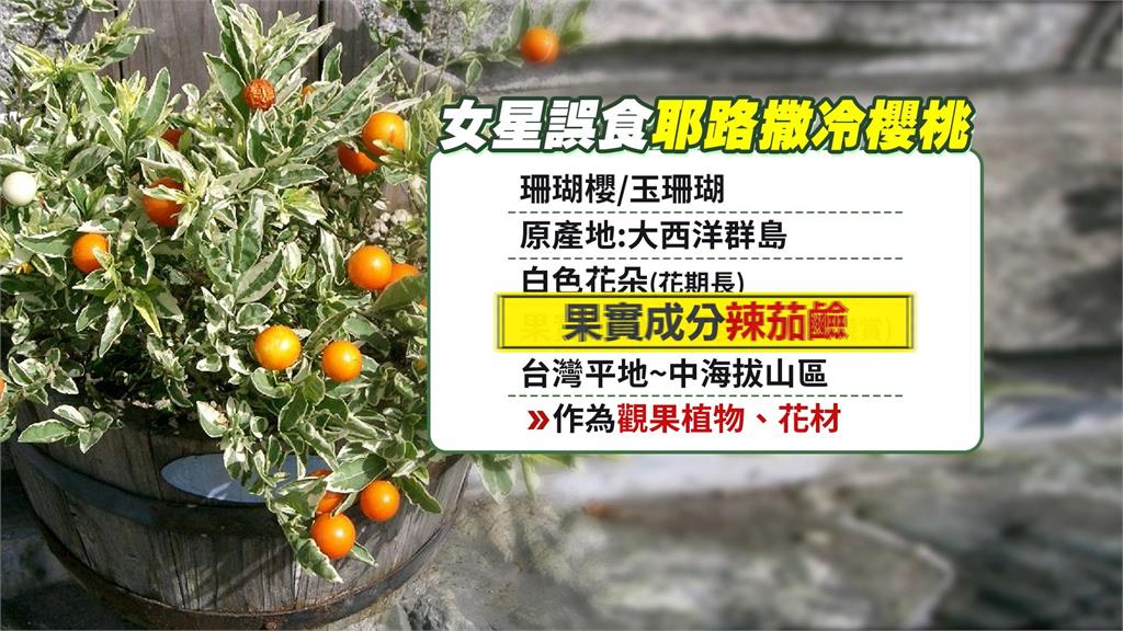 好萊塢女星誤食毒果還問「這是什麼」　網驚：是有毒的耶路薩冷櫻桃