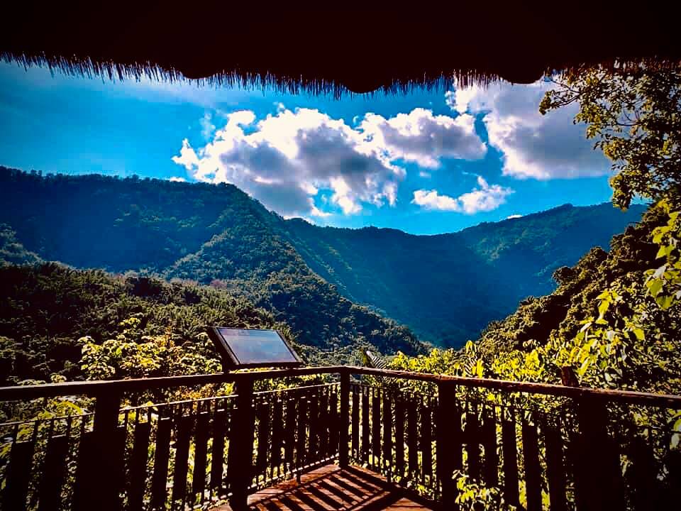 嘉義阿里山部落慢遊，茶山涼亭節來了