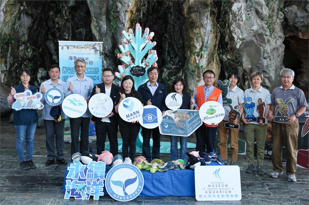 第118隻海龜野放成功！海巡署「118報案」化身守護海洋生命第一線