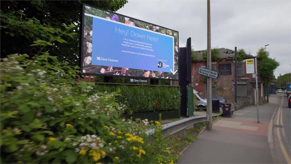 英國業者改造廣告看板「小空間」 種植原生花草增加生物多樣性