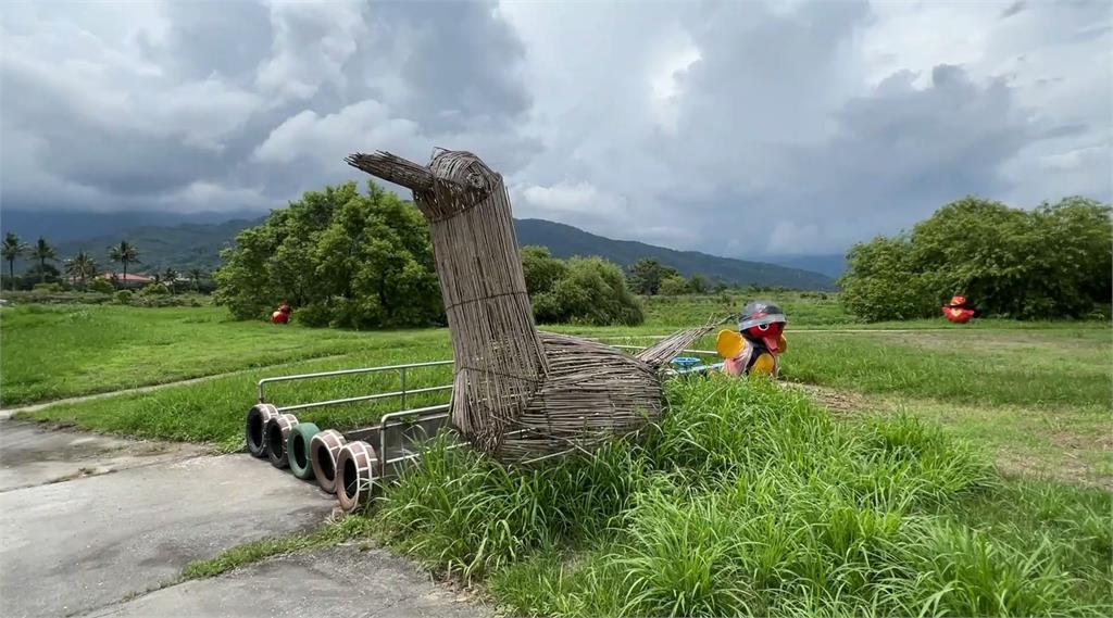 棄中研院工作當青農 張震宇拚建立台灣蘆葦產業鏈