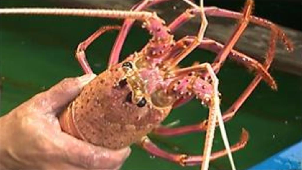 古巴拒台護照入境「我國抵制龍蝦」慘跌7成!王瑞德揭「親中3大慘案」:這就是實力