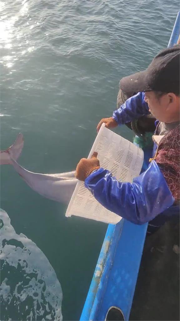 漁民捕獲1公尺長「全身閃銀光」神奇生物!真實身分曝光 內行驚喊:坐牢魚
