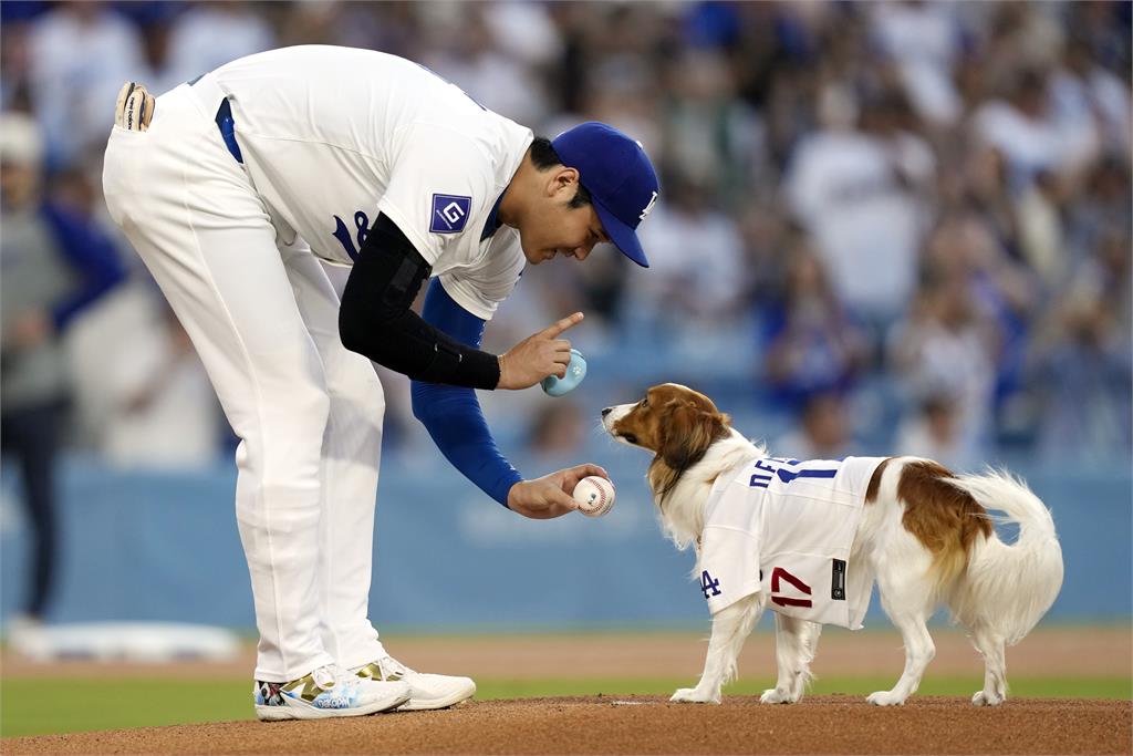 MLB（影）／愛犬Dekopin超萌開球　狗爸爸大谷喊緊張「練了三個禮拜...」