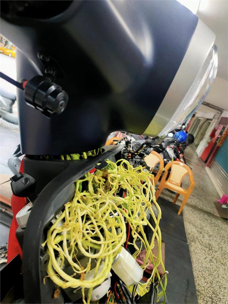 機車停校內停車場 女大生2週後見愛車「長出藤蔓」