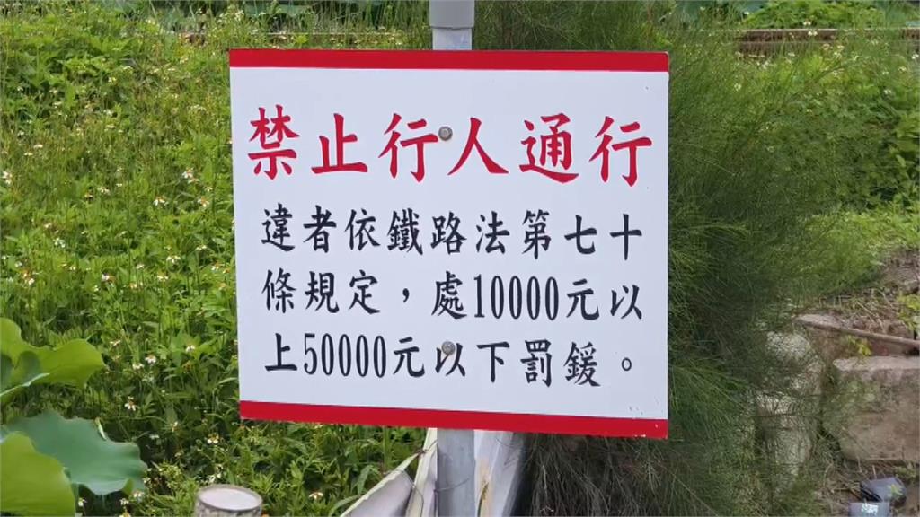 冠軍微笑列車將「卸妝」 遊客搶拍列車荷花照害煞停