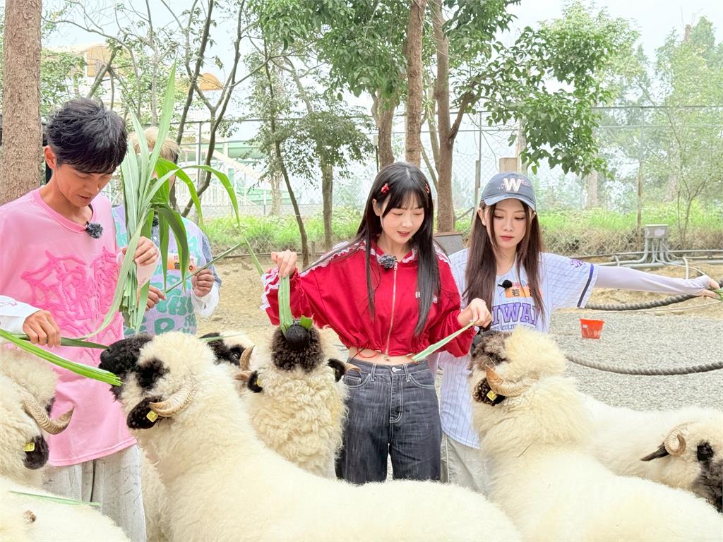 參觀動物園！楊繡惠驚呼「活到60歲第一次知道烏龜在傳宗接代竟然會有聲音！」